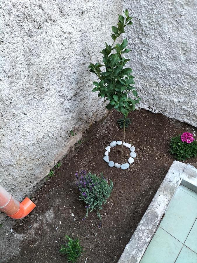 La Loggia 34 Βίλα Παλέρμο Εξωτερικό φωτογραφία