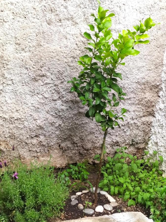 La Loggia 34 Βίλα Παλέρμο Εξωτερικό φωτογραφία