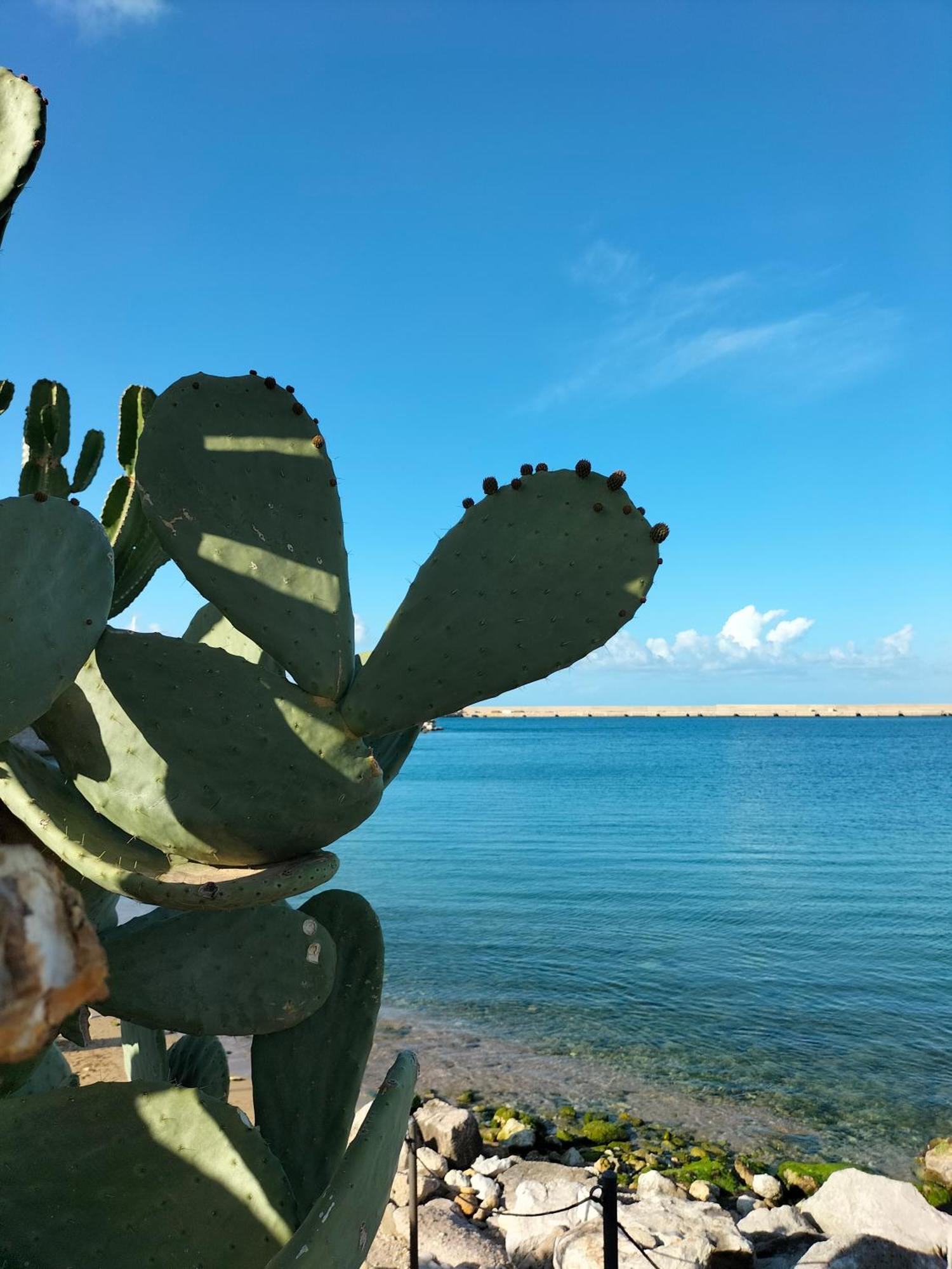 La Loggia 34 Βίλα Παλέρμο Εξωτερικό φωτογραφία